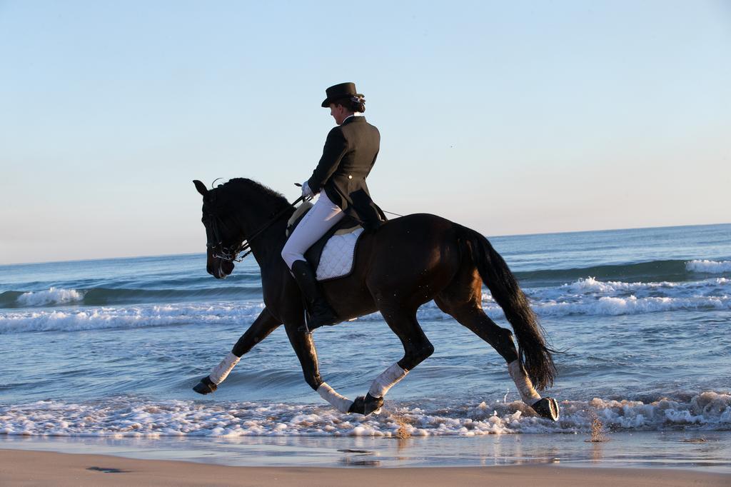 Pension Los Caballos エルス・ポブレッツ エクステリア 写真